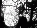 tape1